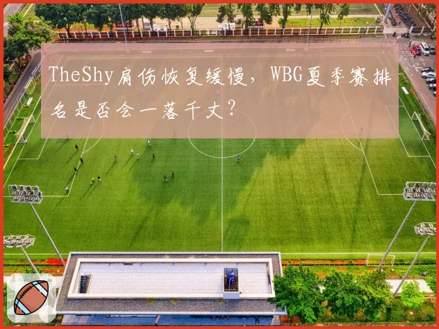 TheShy肩伤恢复缓慢,WBG夏季赛排名是否会一落千丈?